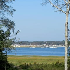 Indian Neck Cottage with Beautiful Views (1310)