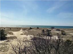 Short Distance to Downtown Harwichport & Beach! (1584) - Image 3