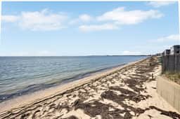 Waterfront, Beach Point Rental (1994) - Image 2
