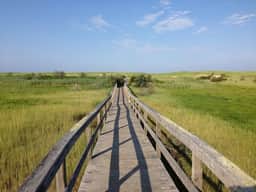 Pochet Association - Nauset Beach Access - Central Air (2161) - Image 3