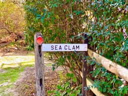 Waterfront Wellfleet Charm With Amazing Views (2200) - Image 5