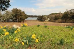 Secluded Waterfront With Direct Private Beach Access (2295) - Image 4