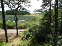 Marsh front, Gorgeous Waterview and Deck (CS0025) - Image 5