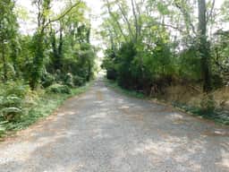 Beautifully Maintained Home Close to Town (CS0016) - Image 2