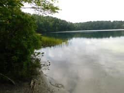 Path to Pond, Private Location, Sweet Home! (CS0031) - Image 4