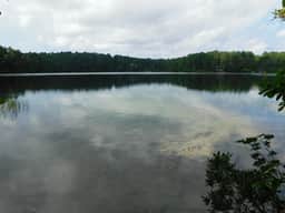 Path to Pond, Private Location, Sweet Home! (CS0031) - Image 3