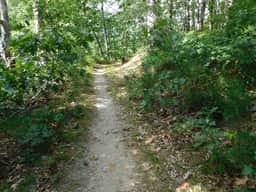 Path to Pond, Private Location, Sweet Home! (CS0031) - Image 2