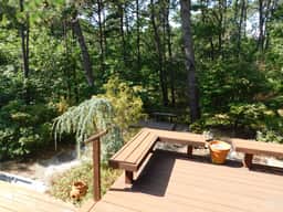 Gorgeous Light and Airy 4 Beds in the woods! (CS0030) - Image 2