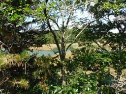 Private, marsh view, AND close to town!  (CS0051) - Image 4