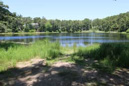 Cozy Cottage by Molls Pond  2409 - Image 2