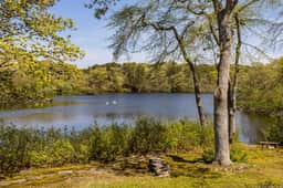 Swan Dive - Waterfront Retreat in Cataumet RPLO032 - Image 3