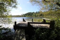 Secluded, Rustic and Quiet in the National Seashore (1424) - Image 4