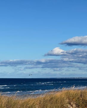 Beach & Shore