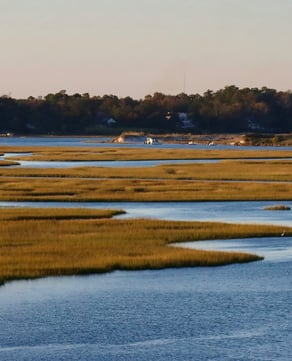 Marsh