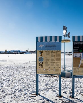 The Polar Plunge
