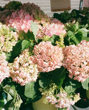 Nursery Finds