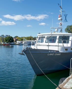 Sport Fishing & Birdwatching