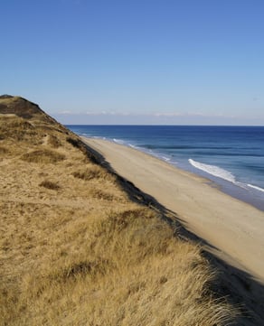 Sandy Neck Dunes