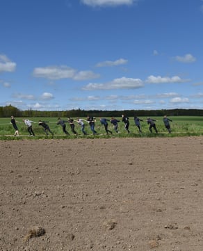 4H Demonstrations