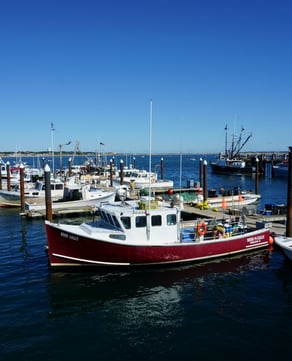Cape Cod Backdrop