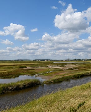 The Great Marsh