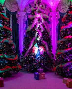 Tree Lighting & Santa