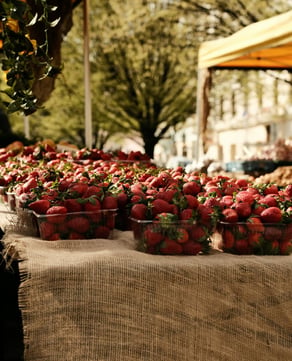 Meet the Vendors