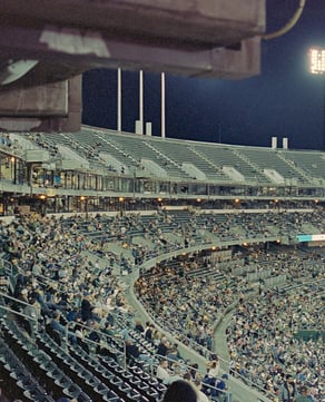 Summer Nights Under the Lights
