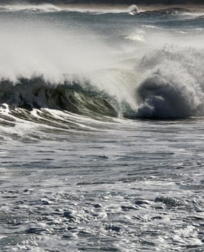 Cape Cod National Seashore