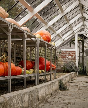 Cozy Fall Evenings