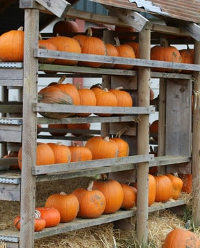 Harvest to Table