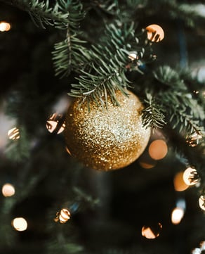Decorated Christmas Trees