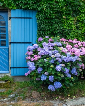Private Gardens