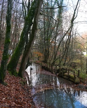 Stony Brook Trail