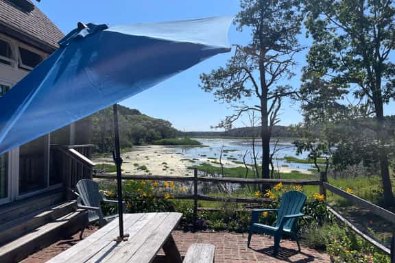 Quiet & Private in the National Seashore (1376) - Image 1