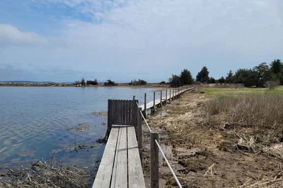 Seaside cottage with private beach RPMS109 - Image 1