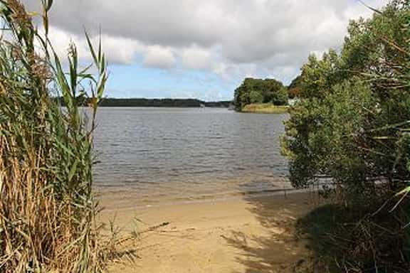 New For 2026! 1/2 mile to Swan Pond (2414) - Image 1