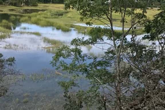 Private, marsh view, AND close to town! (CS0051) - Image 1
