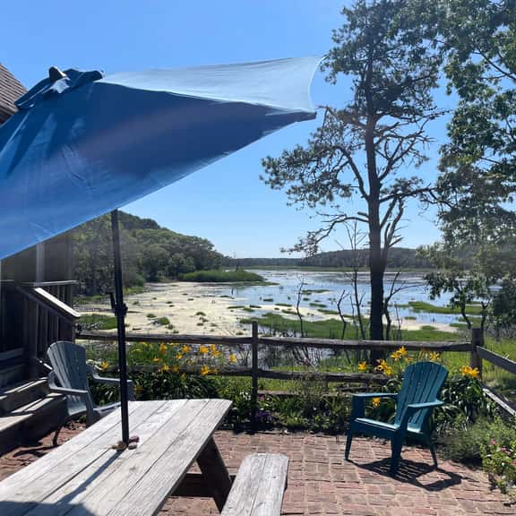 Quiet & Private in the National Seashore (1376) - Image 1