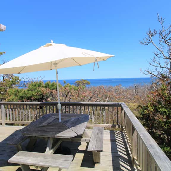 Custom Mid-century Retro Style in the National Seashore (1324) - Image 1