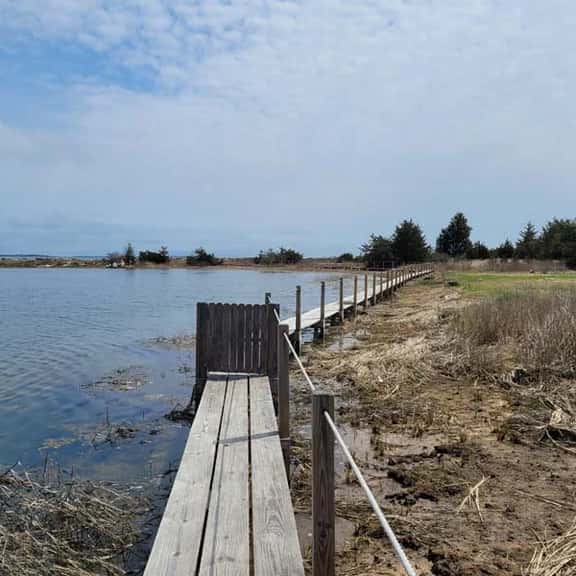 Seaside cottage with private beach RPMS109 - Image 1