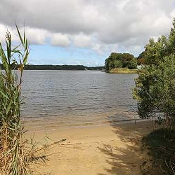 New For 2026! 1/2 mile to Swan Pond (2414) - Image 1