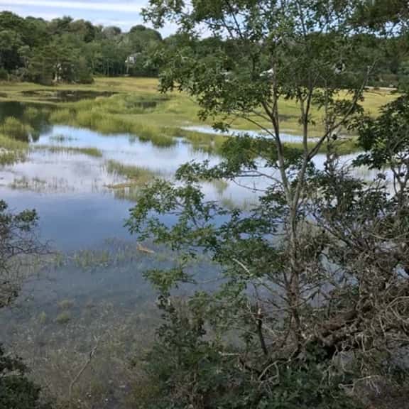 Private, marsh view, AND close to town! (CS0051) - Image 1
