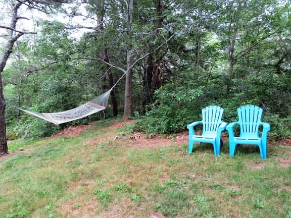 Quiet & Private in the National Seashore (1376) - Image 5