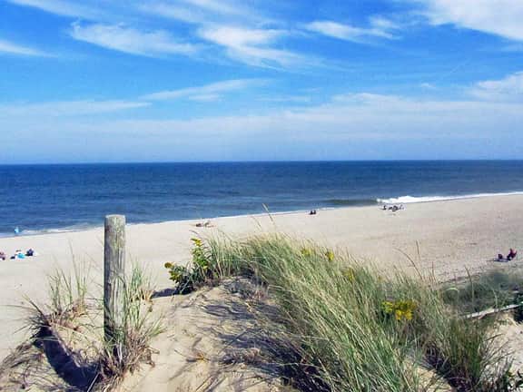 Secluded, Rustic and Quiet in the National Seashore (1424) - Image 2