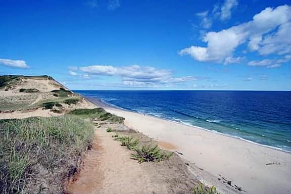 Secluded, Rustic and Quiet in the National Seashore (1424) - Image 5