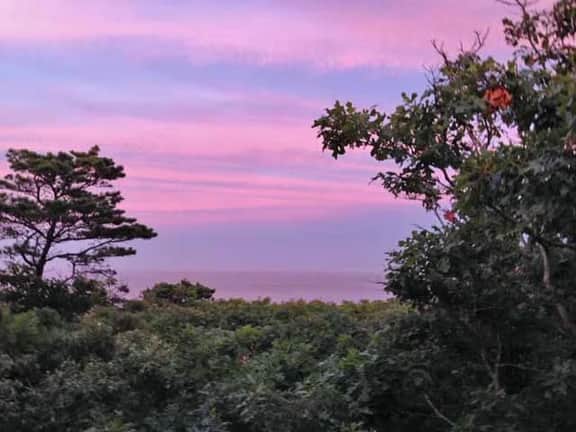 Custom Mid-century Retro Style in the National Seashore (1324) - Image 3