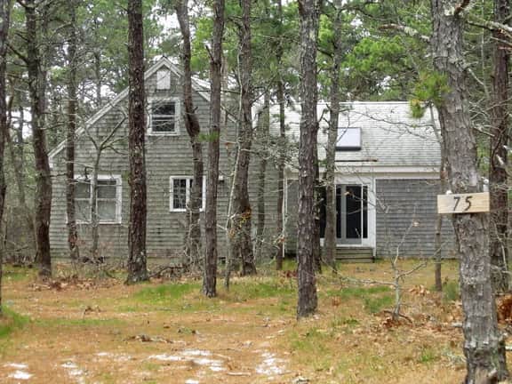 Newly Updated Spacious Home in Quiet Wooded Area (1246) - Image 2