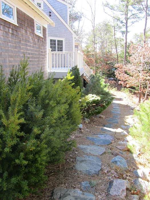 Close To Wellfleet Center & Harbor (1354) - Image 3
