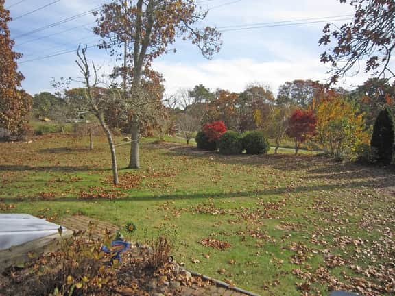 Inviting 4BR Colonial Home Close to Town (2089) - Image 5